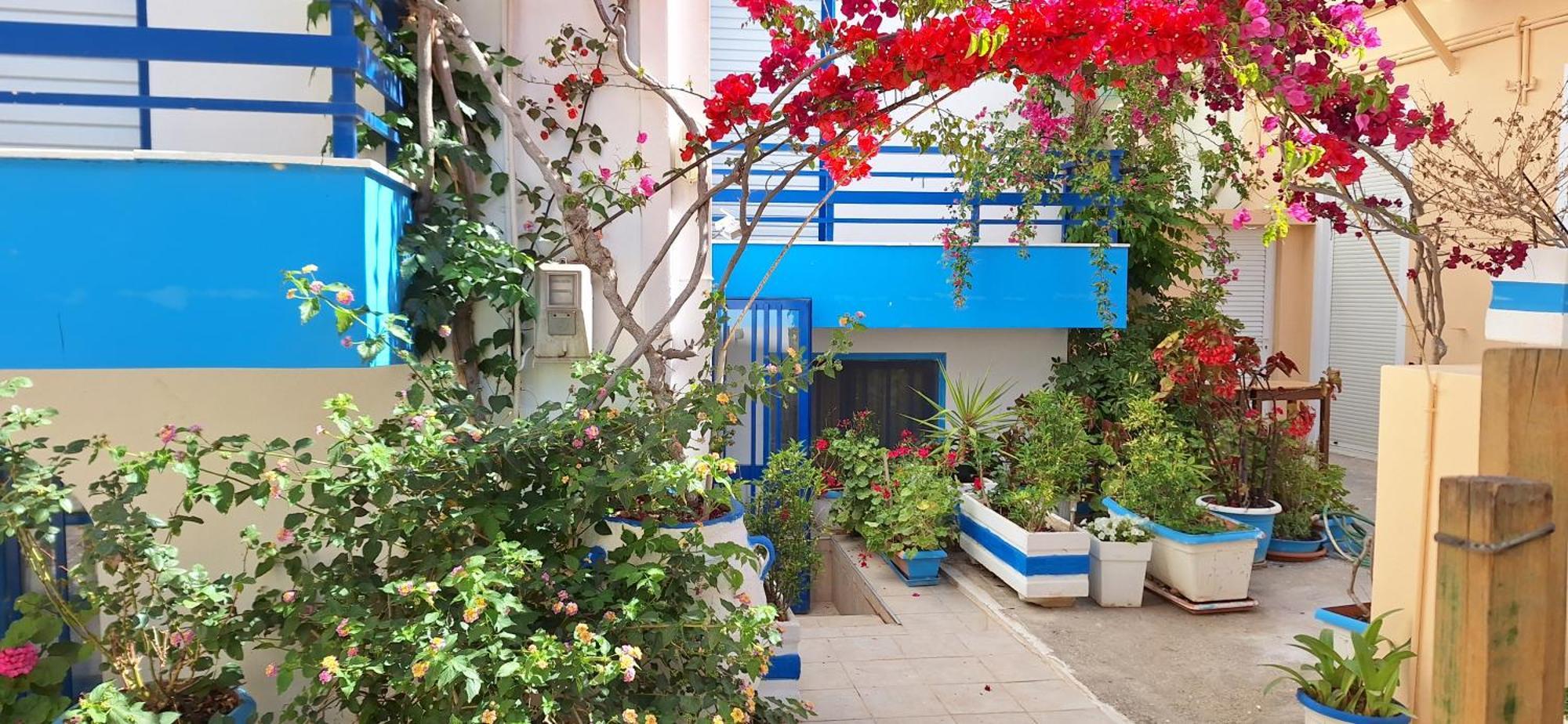 Blue Sky Apartment Palaiochora Exterior photo