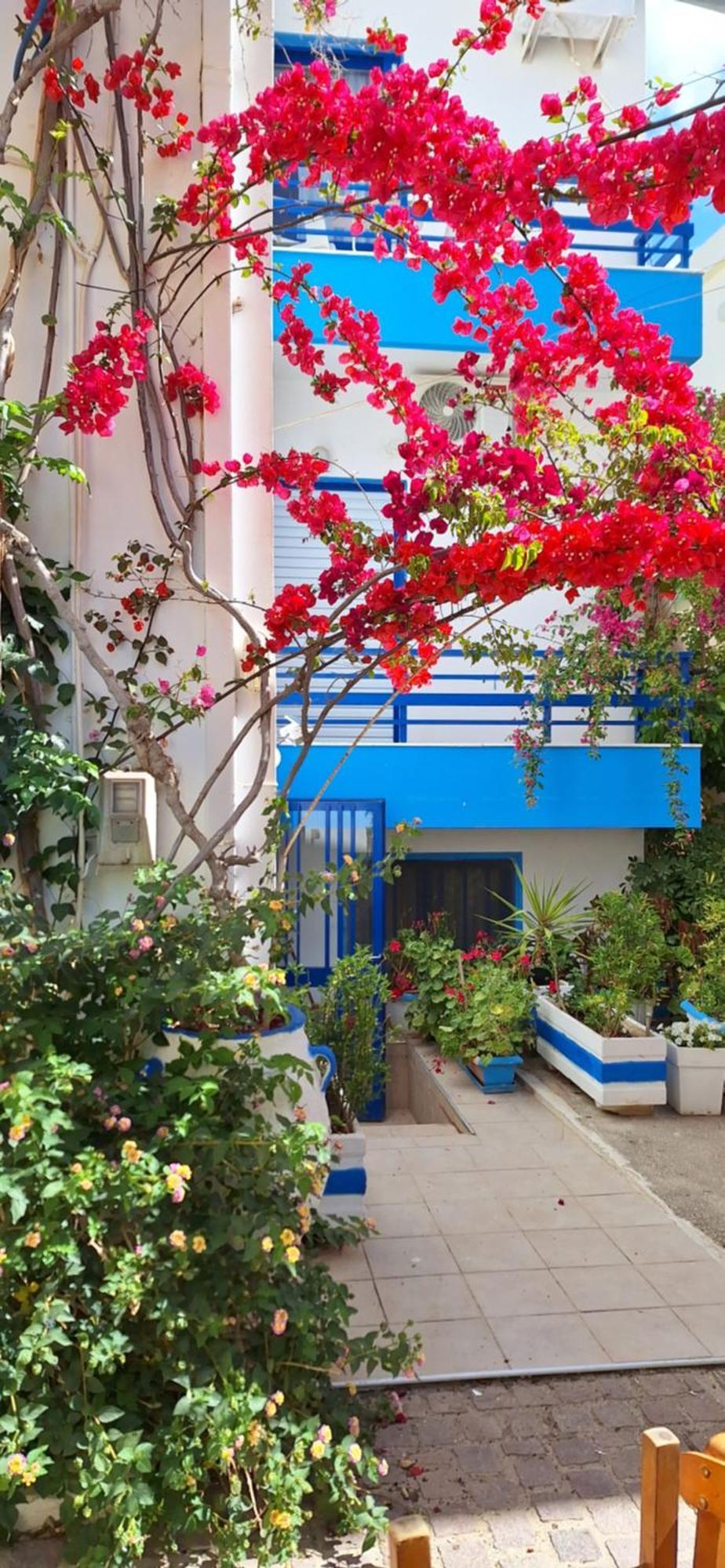 Blue Sky Apartment Palaiochora Exterior photo